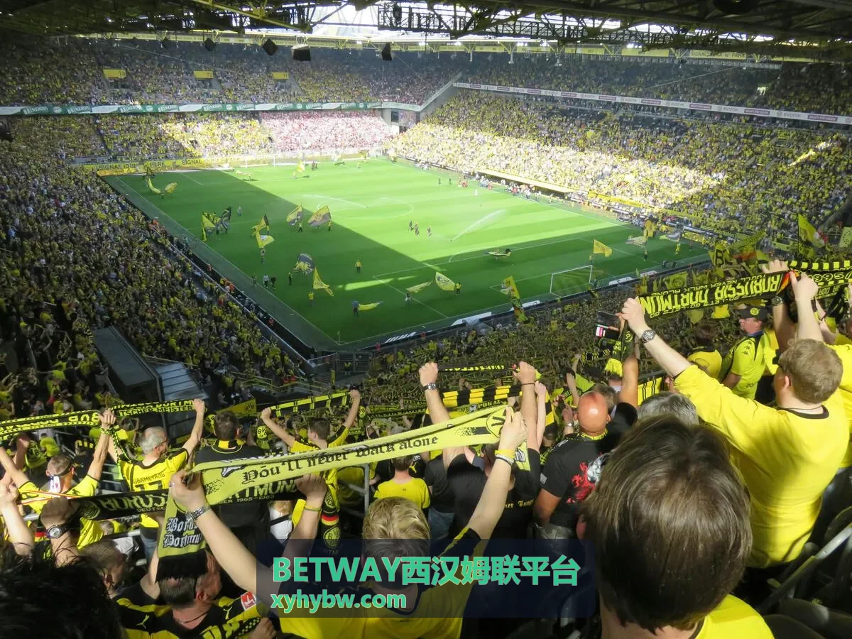 BETWAY西汉姆联平台安全技术案例